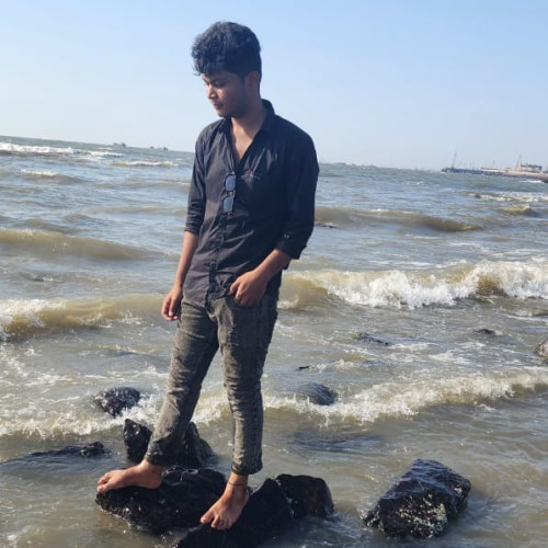 Danish S. profile photo