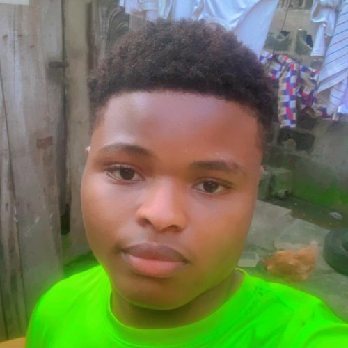 Daniel N. profile photo