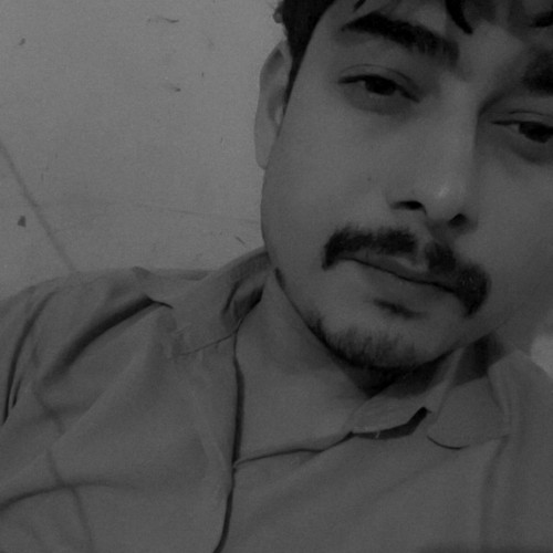 Ransh R. profile photo