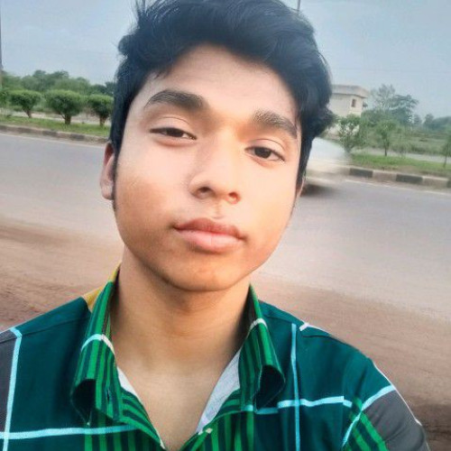 Dhiraj B. profile photo