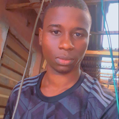 Lamina  A. profile photo