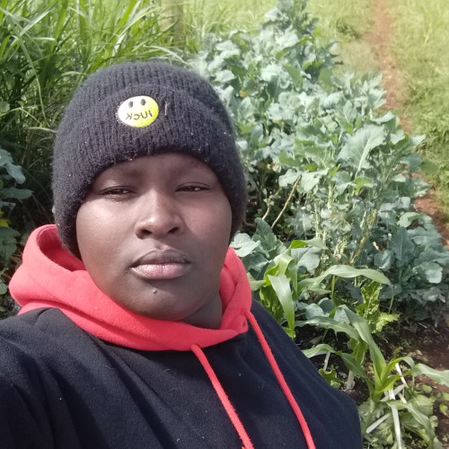 Zylah  K. profile photo