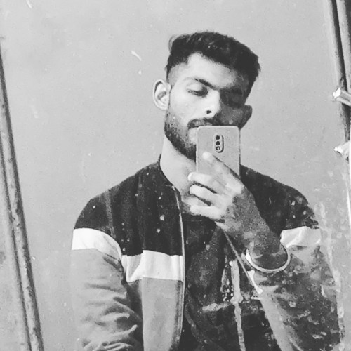 Priyanshu B.