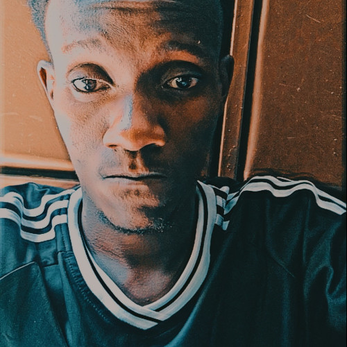 Stephen M. profile photo