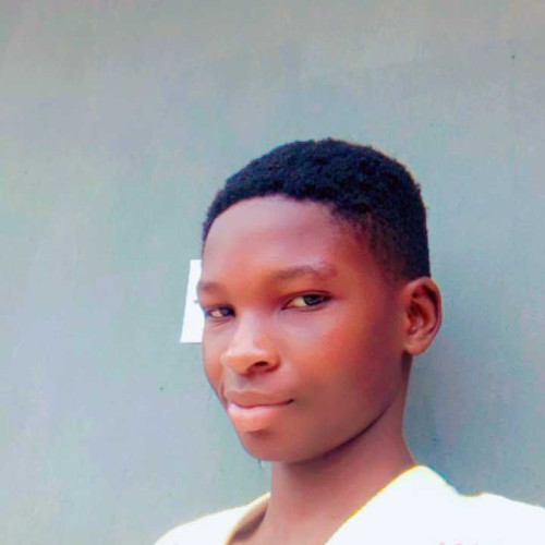 oluwanifemi D. profile photo