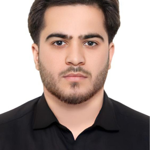 The  N. profile photo