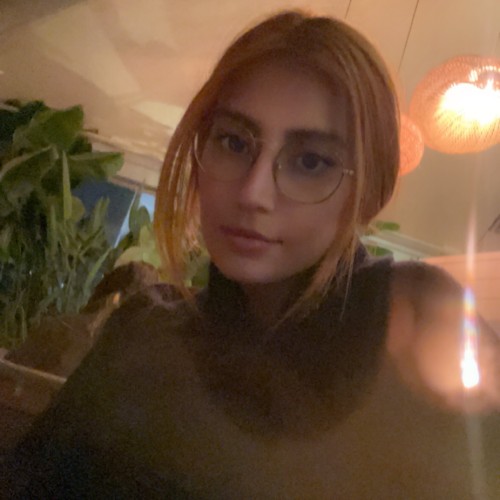 Hanieh J.