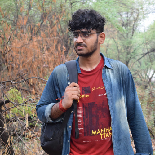 divyanshu s. profile photo