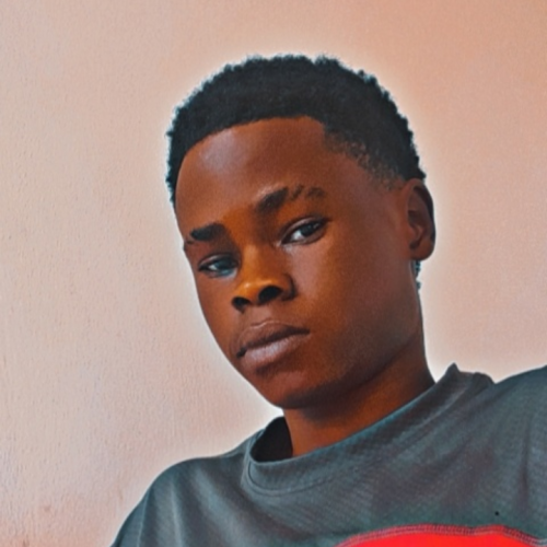 Godsent N. profile photo