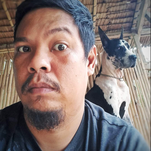 Alp P. profile photo