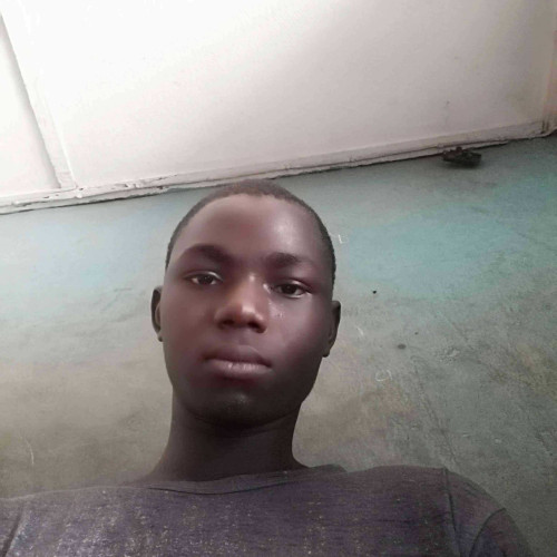 musa m. profile photo