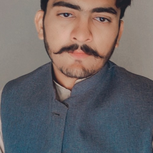 Muhammad Faisal S.
