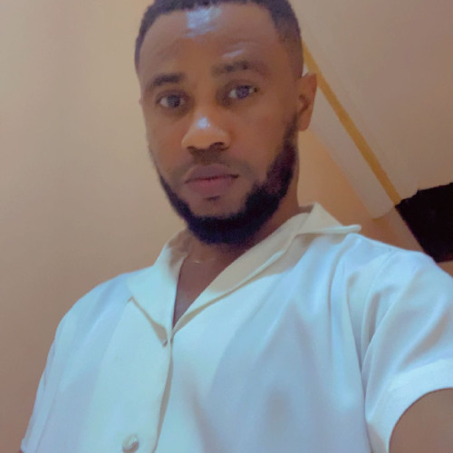 Ndubuisi  H. profile photo