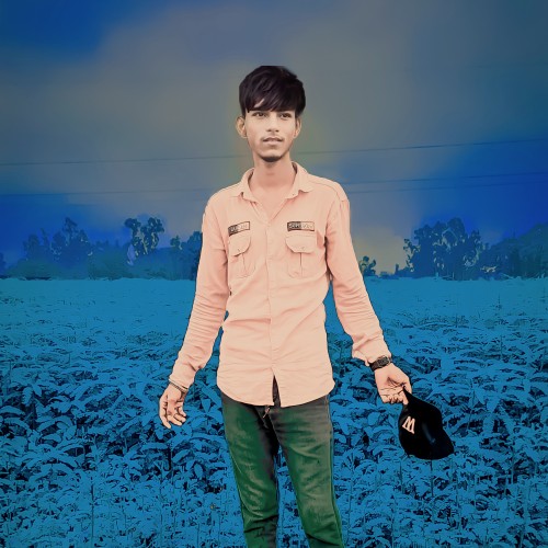 Ankit K.