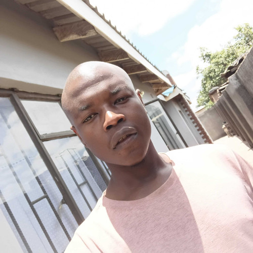 tinotenda c. profile photo