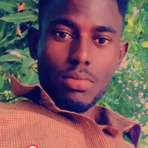 Adam  M. profile photo