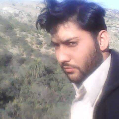 mazhar k. profile photo