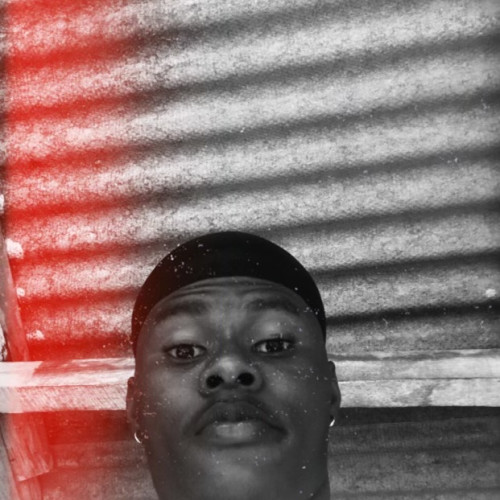 Ifeoluwa O. profile photo