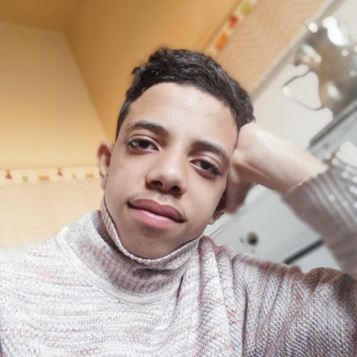 walid a.