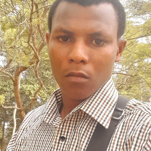 amour H. profile photo