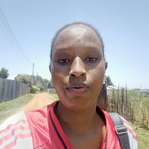 Sandra T. profile photo