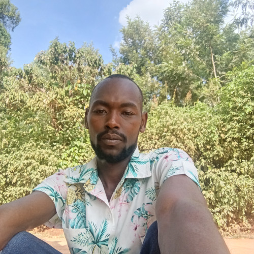 Julius N. profile photo