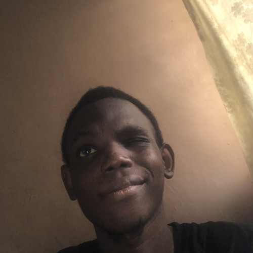 Eniola O. profile photo