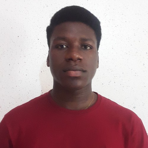 niava h. profile photo