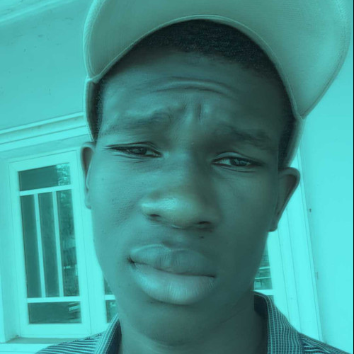 David C. profile photo