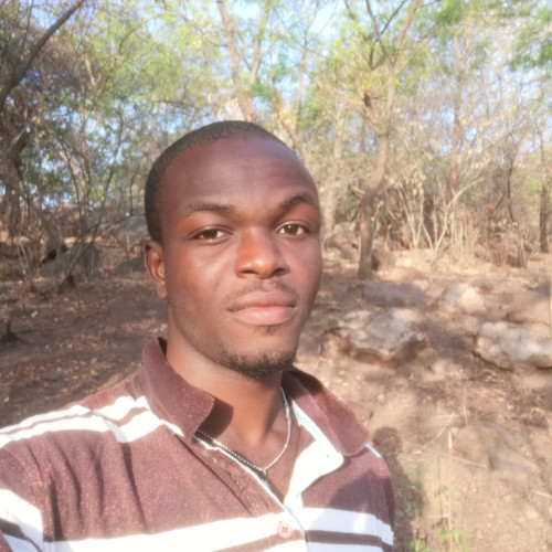 Will D. profile photo