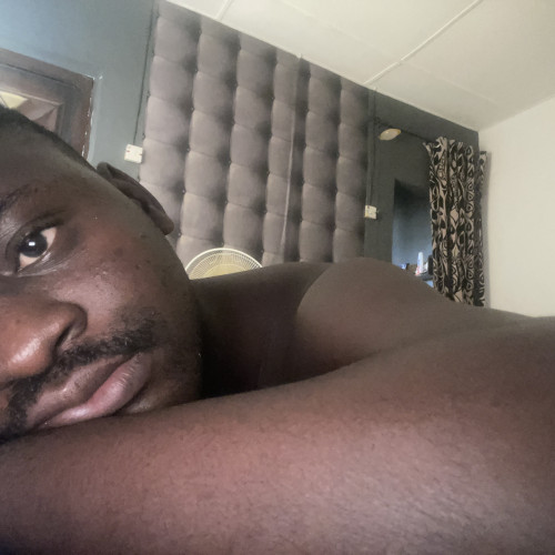 Oluwasheyi L. profile photo