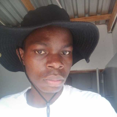 Seidisa S. profile photo