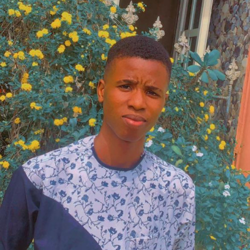 Wisdom P. profile photo