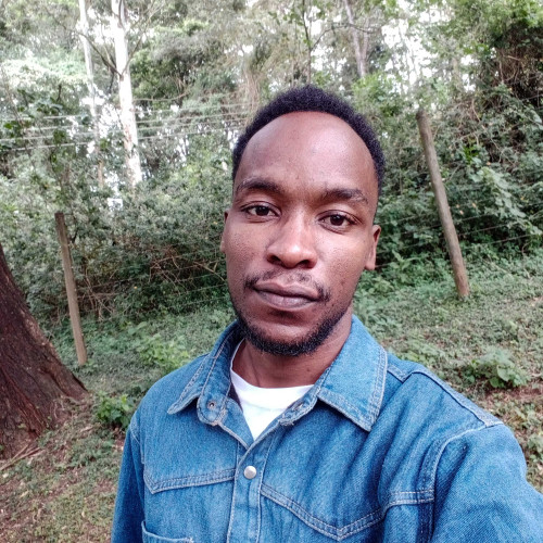 kelvin N. profile photo