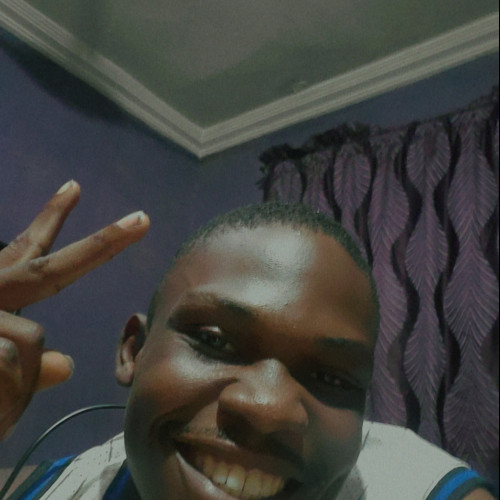 Adedamola O. profile photo