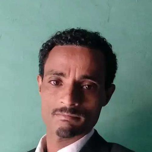 Tariku K. profile photo