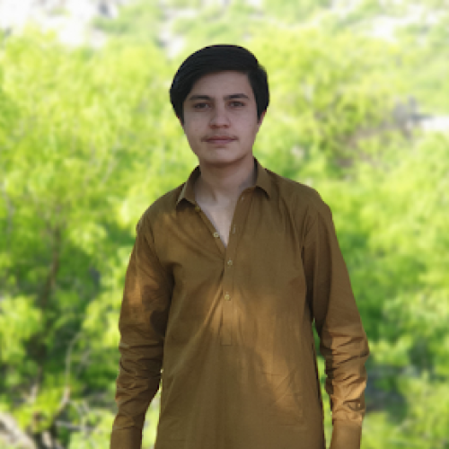Muhammad F.