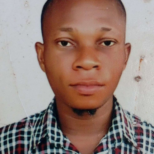 Olayemi L. profile photo