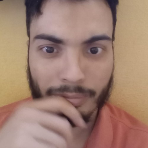 HASNAOUI R.