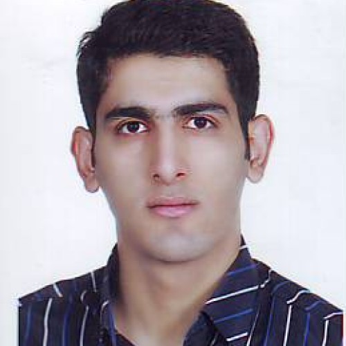 Ali K.