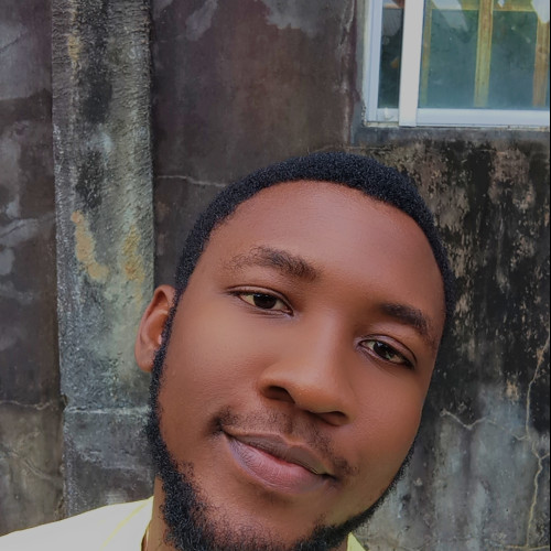 David D. profile photo