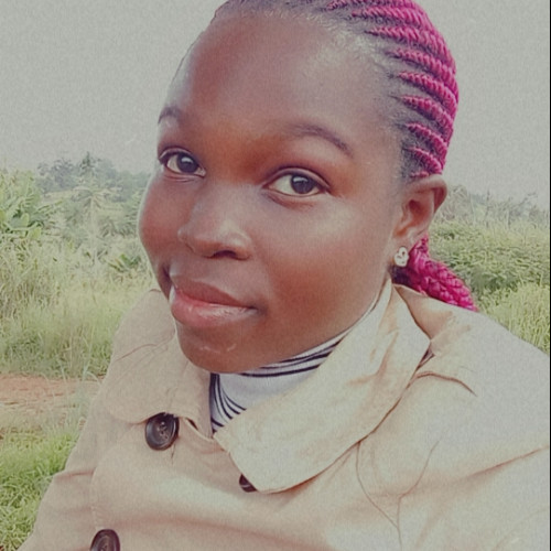 NJEI N. profile photo