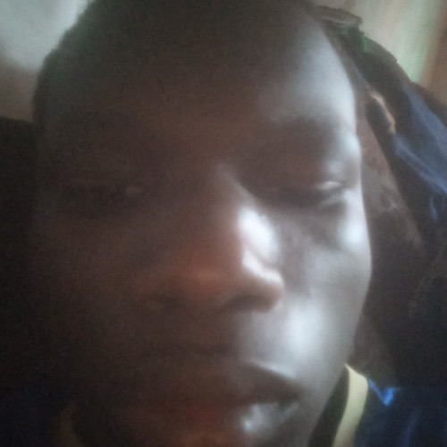 Dan M. profile photo