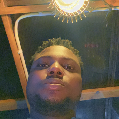 Olaniyi V. profile photo