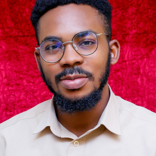 Chisom J. profile photo