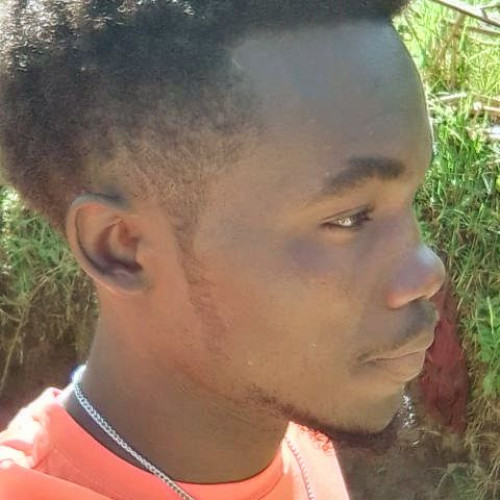 Dan  K. profile photo