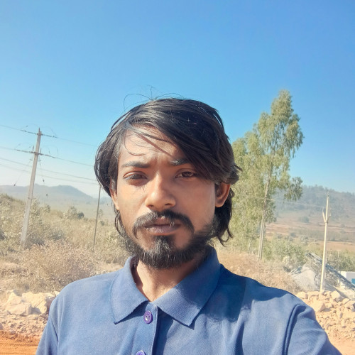 Shiba D. profile photo