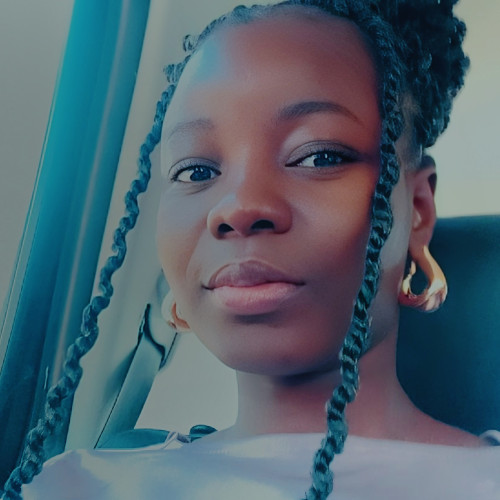 Oluwaseyi O. profile photo