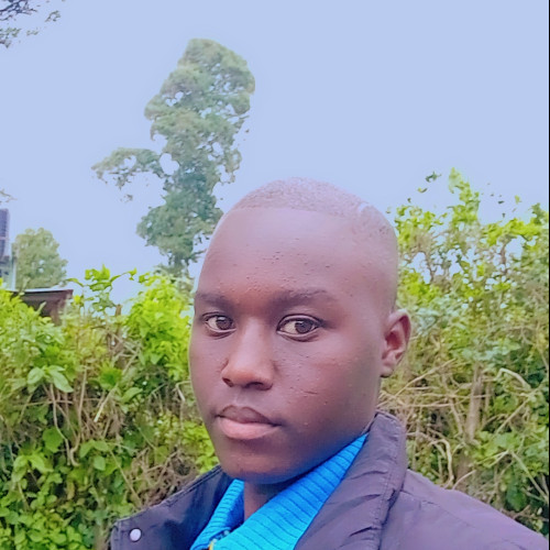 Kelvin K. profile photo