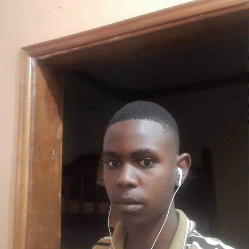 Alvin A. profile photo